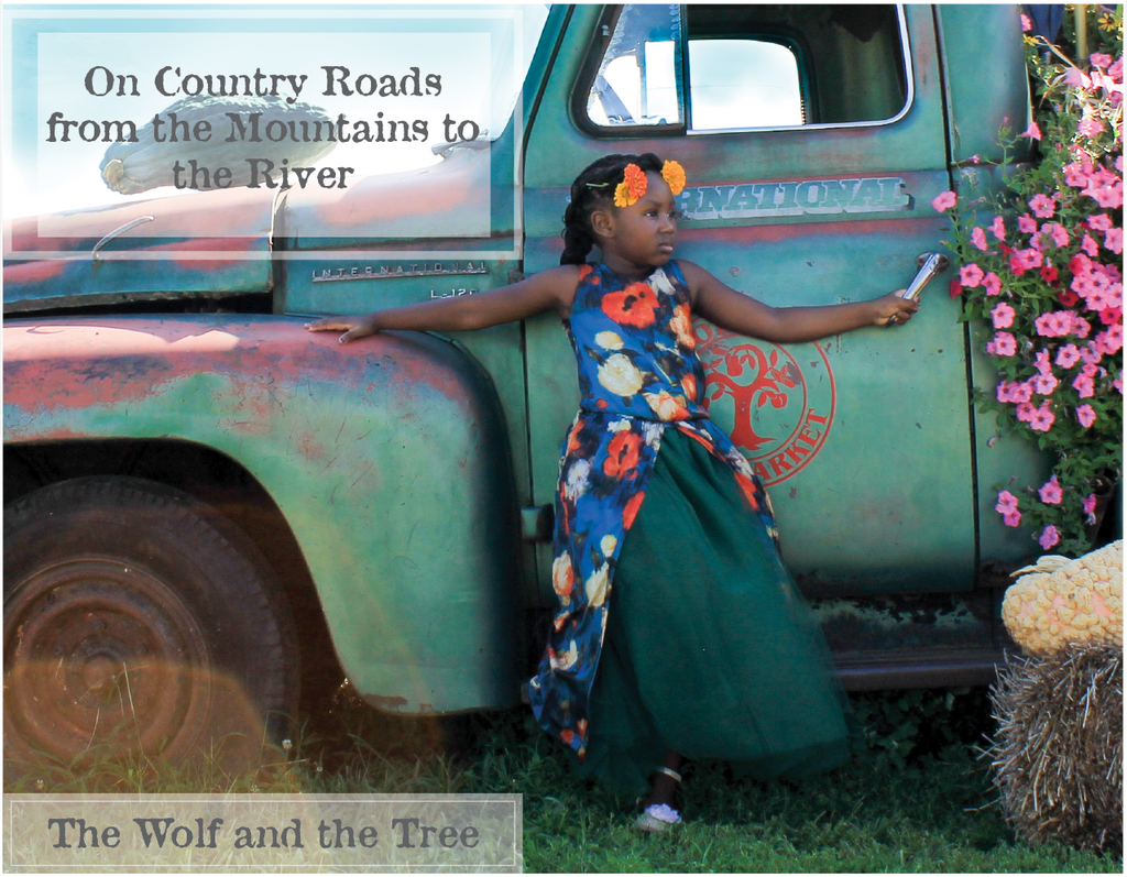 Country road dresses sales 2019